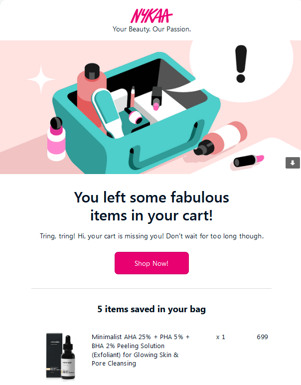 Nykka Abandoned cart emails