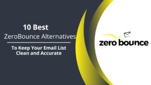 Read more about the article 10 Best ZeroBounce Alternatives for Email Verification